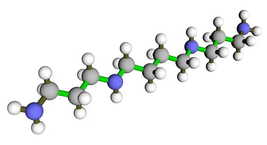 Spermidine Hcl3
