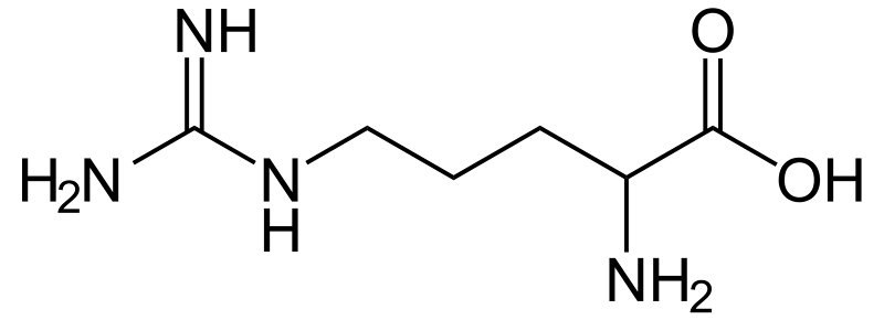 Arginin-Argininesvg Arginin-Argininesvg