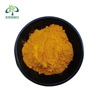 Co-enzym Q10 poeder