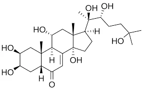 Turkesterone powder Turkesterone powder