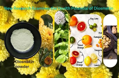 Onderzoekers onderzoeken de potentiële rol van Diosmetine bij het bestrijden ...