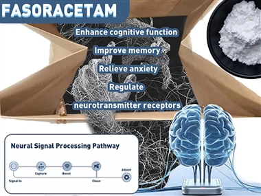 Kan Fasoracetam (NS-105) helpen bij de behandeling van ADHD? Nieuwe inzichten...
