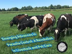 Opkomende ontwikkelingen in de bestrijding van parasieten: een revolutie in d...