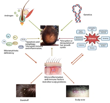 58PyruvamideB 58PyruvamideB